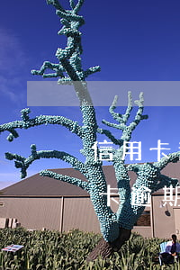 信用卡逾期最近沒有電話短信了怎么辦，信用卡逾期后，為何不再收到催收電話和短信？該怎么做？